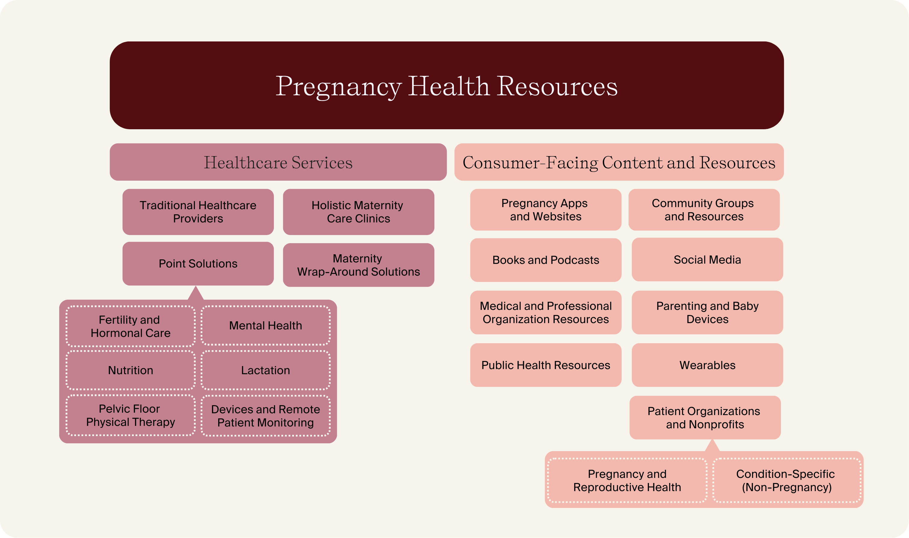 Expecting & Informed: A Map of Pregnancy Health Resources