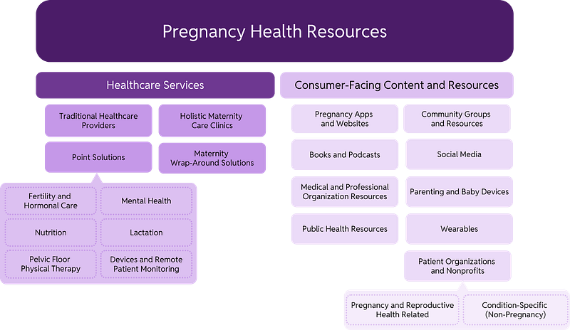 Expecting & Informed: A Map of Pregnancy Health Resources