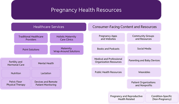 Expecting & Informed: A Map of Pregnancy Health Resources